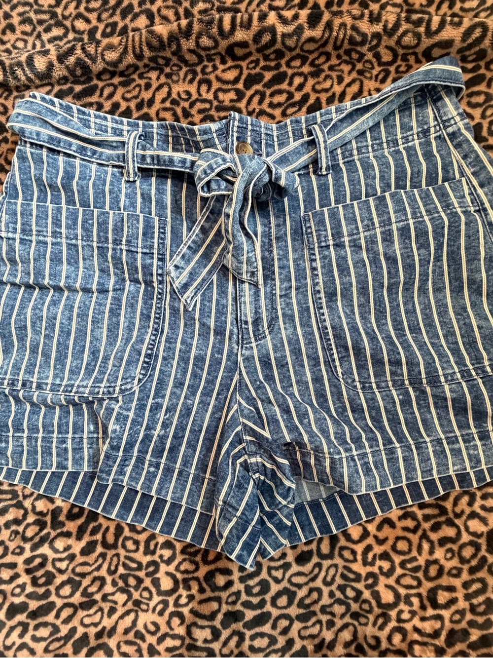 American Eagle Outfitters Blue & White Striped Tie-Waist Shorts